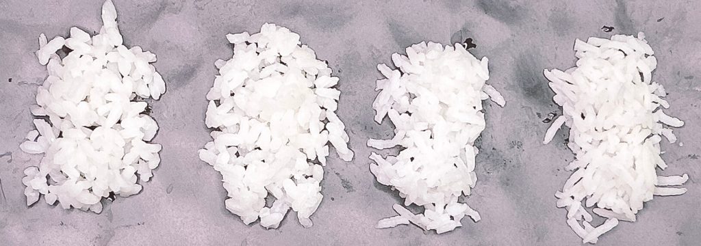 Comparison of rice cooked using the boiling method with different rice types