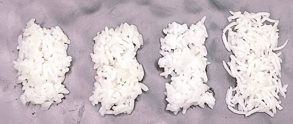Comparison of cooked rice from rice cooker using short grain, medium grain, jasmine, and basmati rice